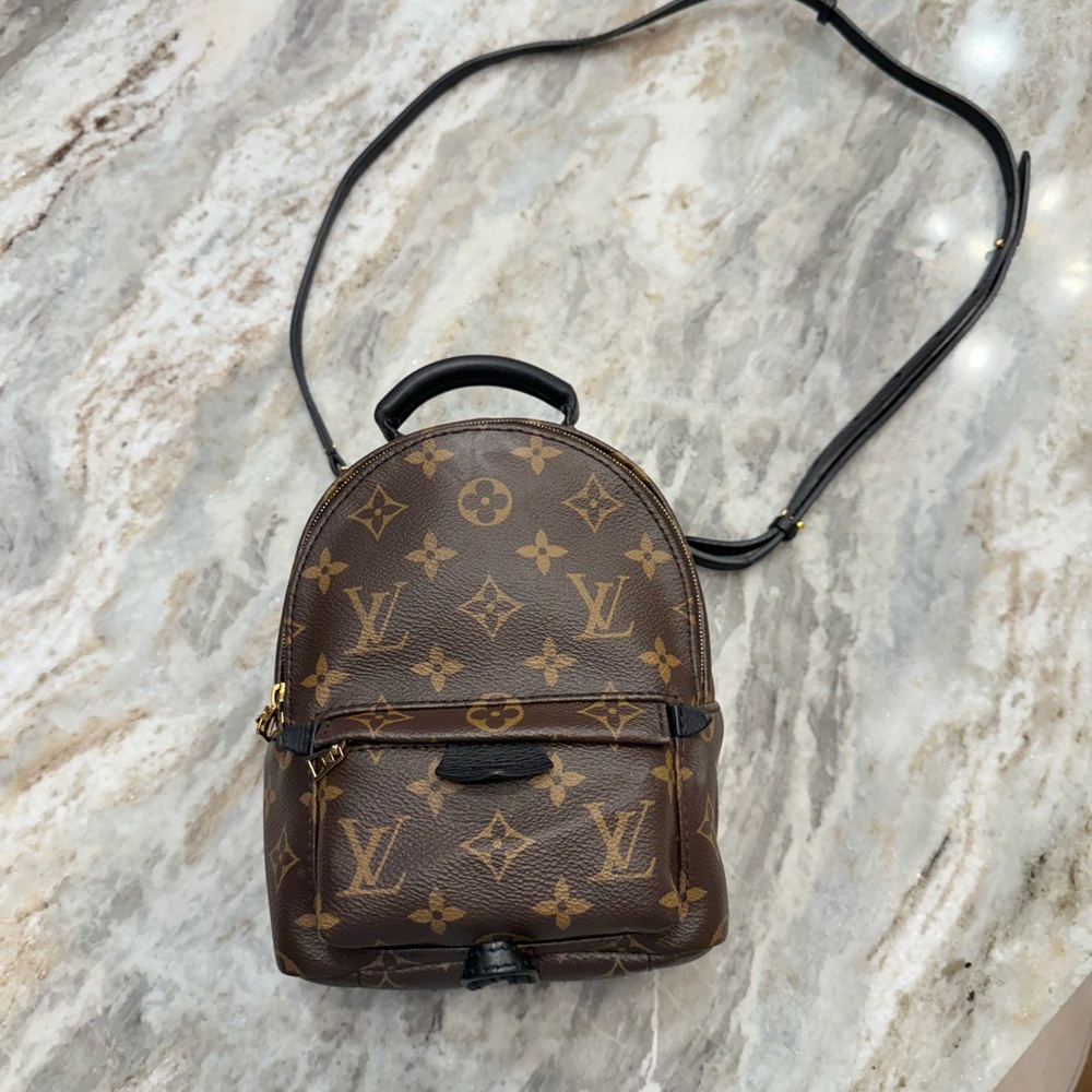 Louis Vuitton Palm Springs Mini
